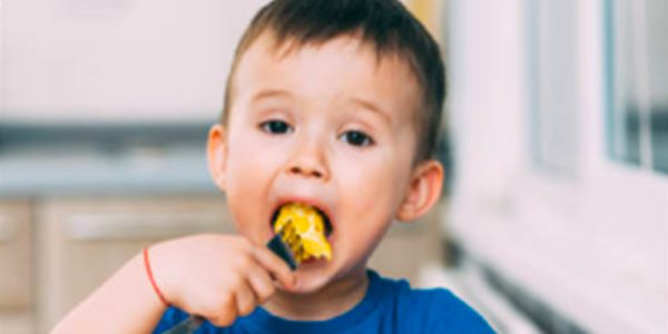 curso alimentacao infantil